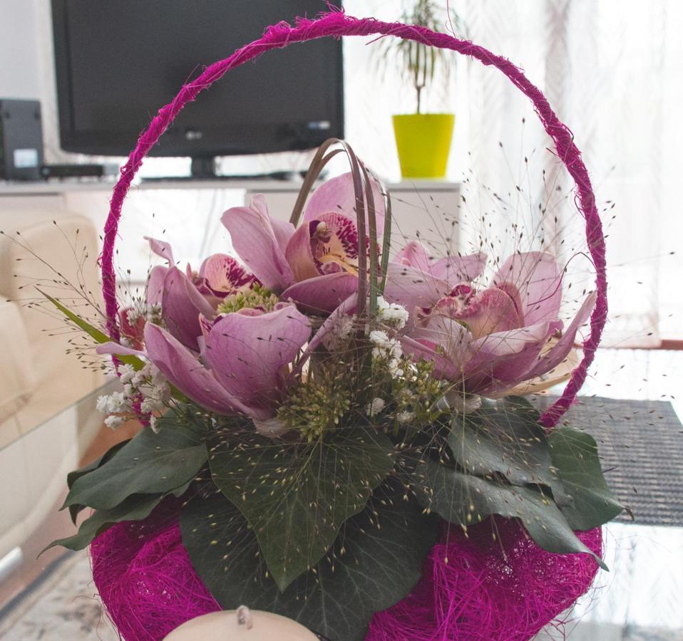 Apartment Joy เบลเกรด ภายนอก รูปภาพ